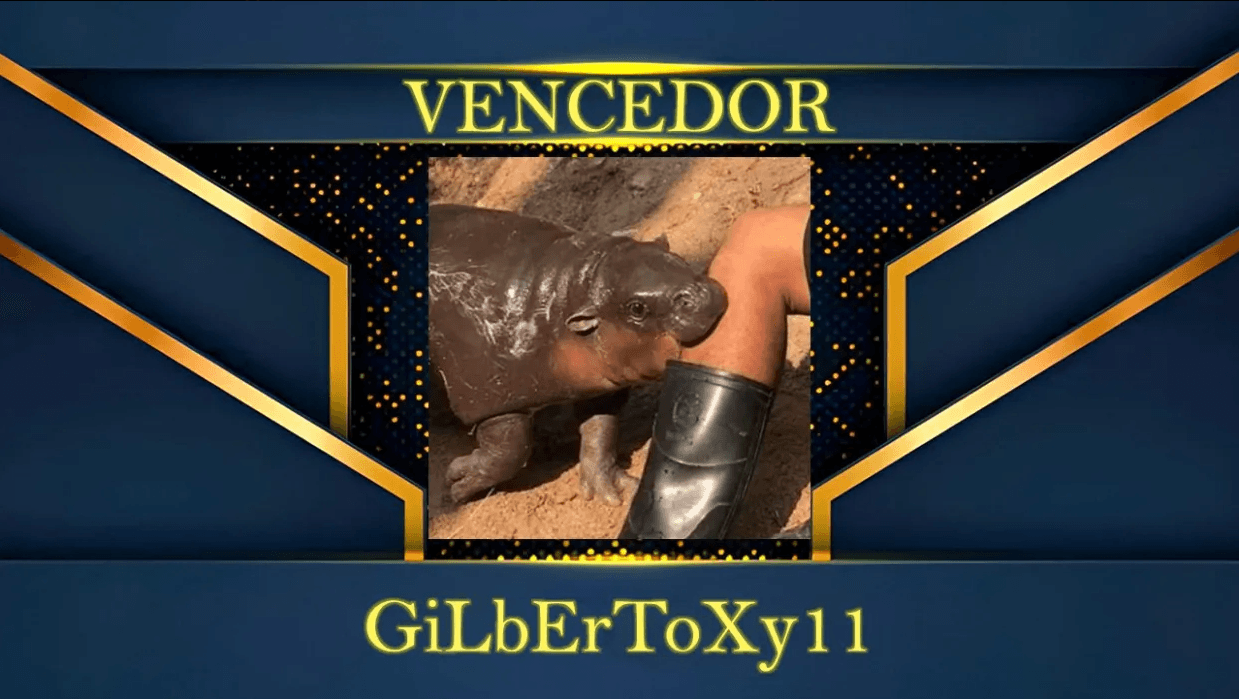 Melhor Nickname - vencedor