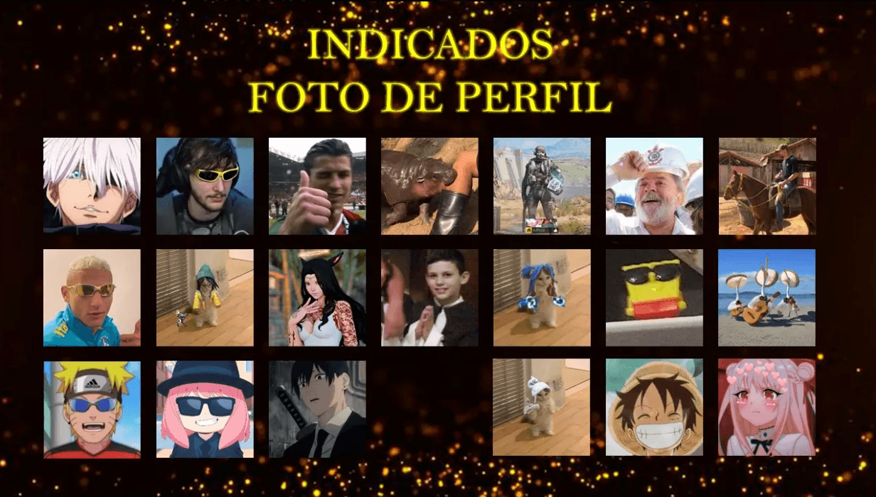 Melhor foto de perfil - participantes